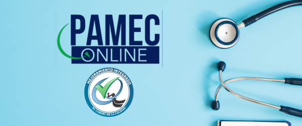 Pamec Online